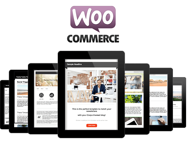 woocommerce-theme-isntallat
